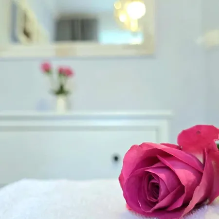 Solaris By Triapart يانتار