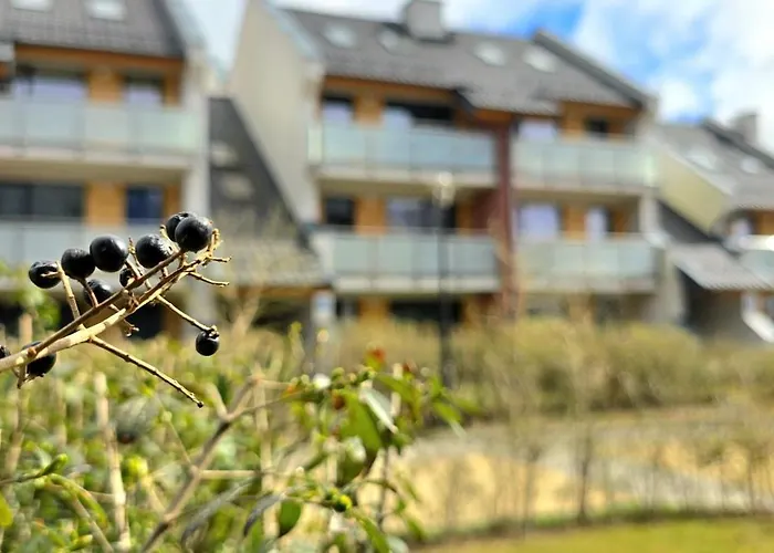 Solaris By Triapart *