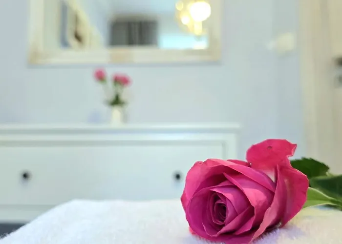 Solaris By Triapart Jantar